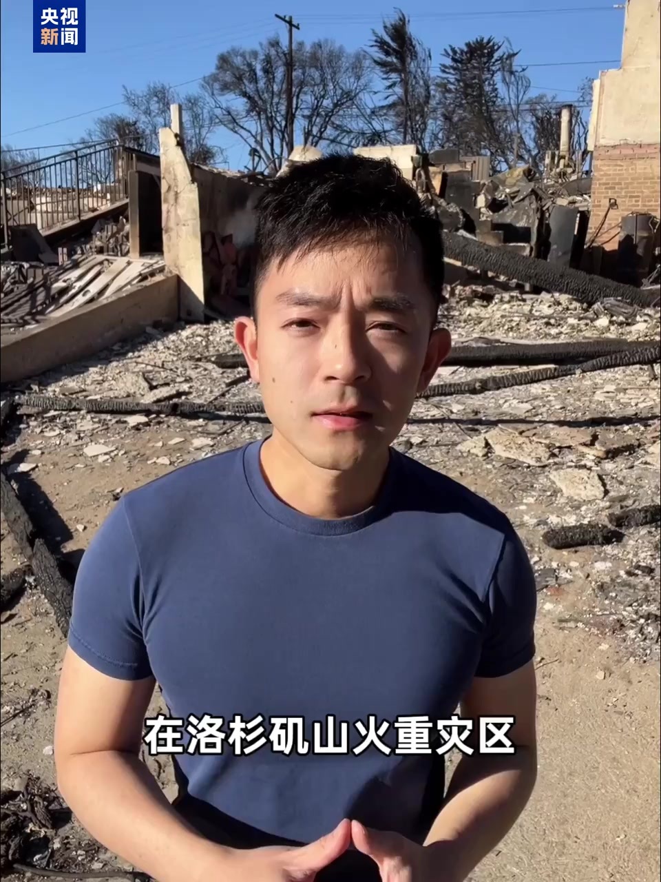 内的几支球