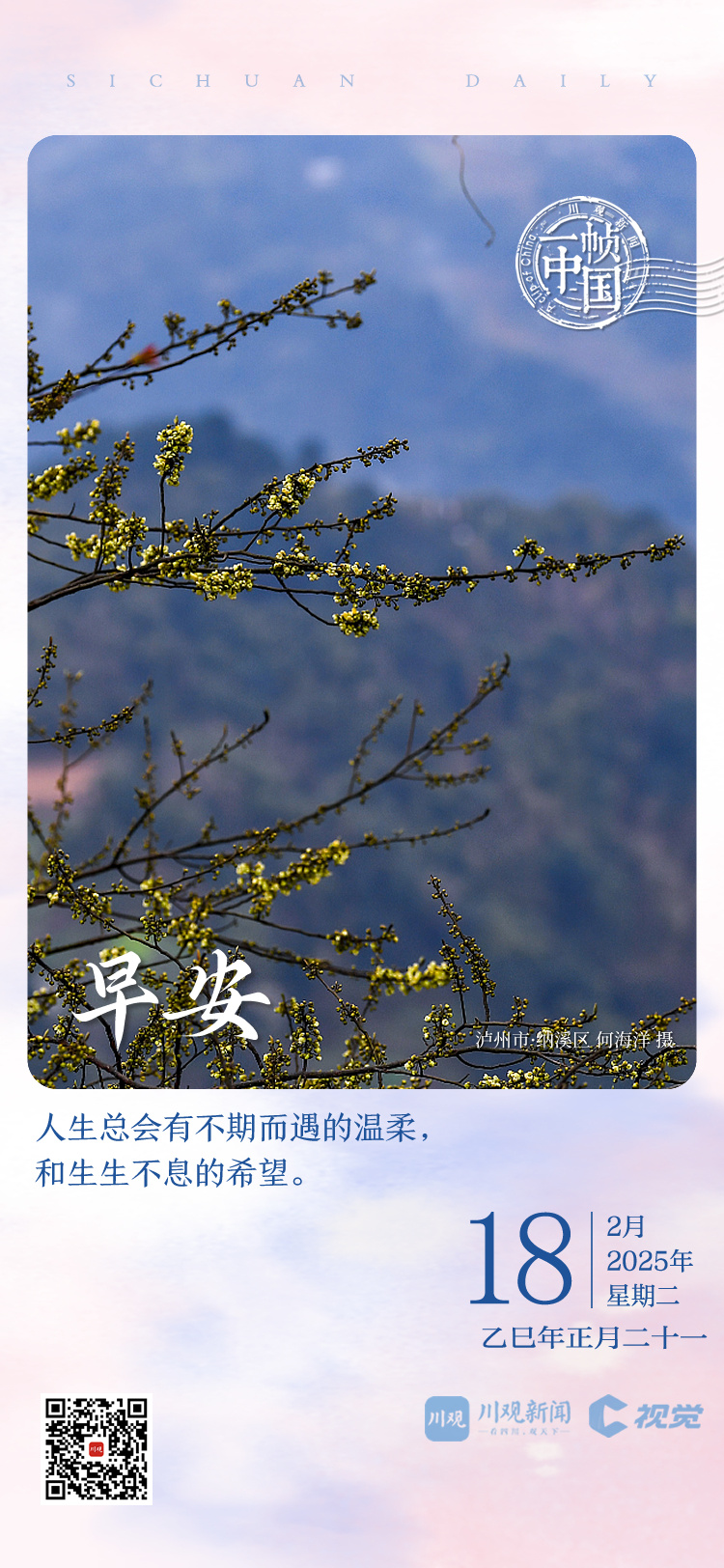 为了新鹏城