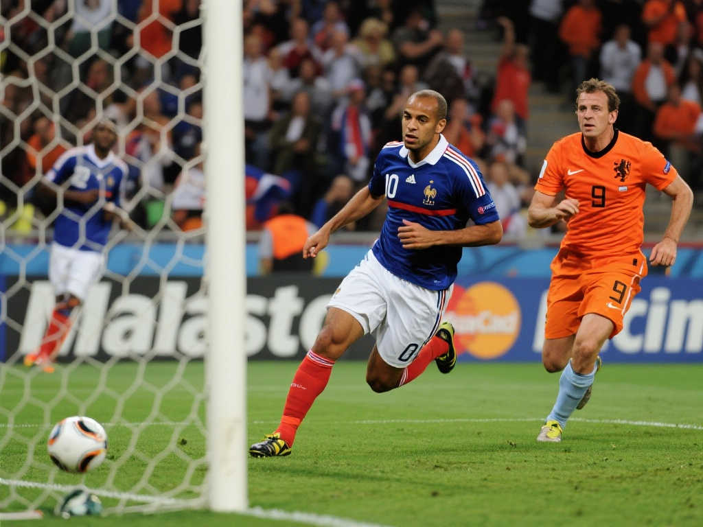 极性和参与 极性和参与