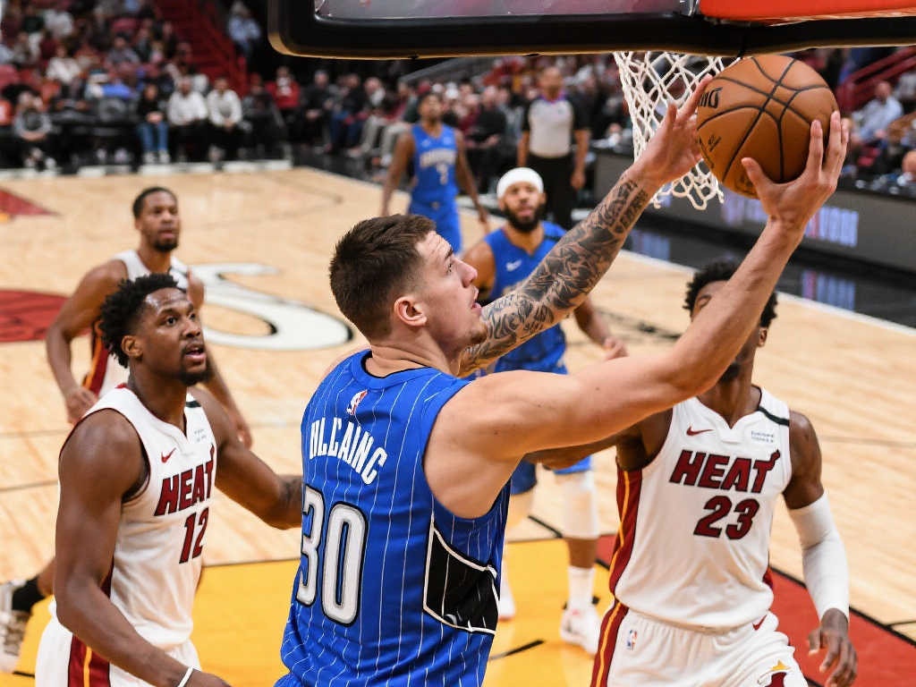 贝德纳雷克 贝德纳雷克